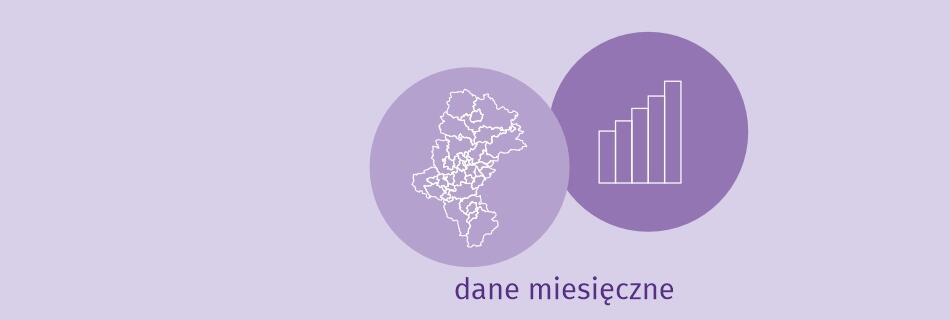 baner publikacji pn. Wybrane dane statystyczne