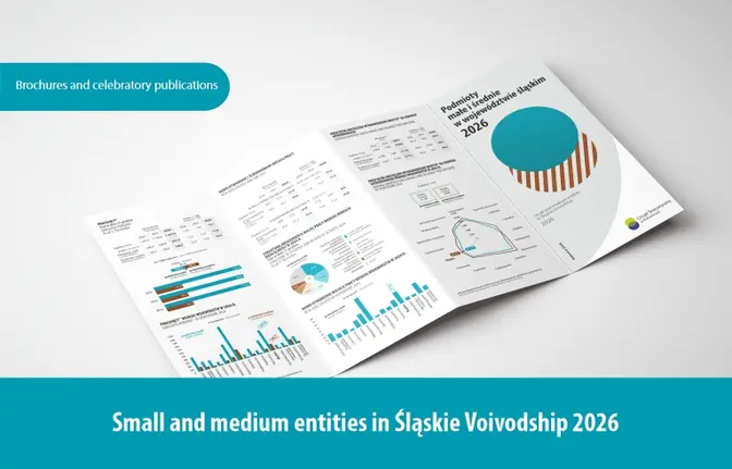 Small and medium entities in Śląskie Voivodship 2026 - slider